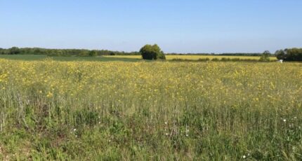 Puyravault Maison neuve - 2106428-10442annonce320250314noSaL.jpeg Maisons Acco