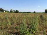 Maison à construire à Ardillières (17290) 2061765-10442annonce120250124k3VyQ.jpeg Maisons Acco
