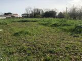 Terrain à bâtir à Chambon (17290) 2124889-10442annonce120250404WLxCg.jpeg Maisons Acco