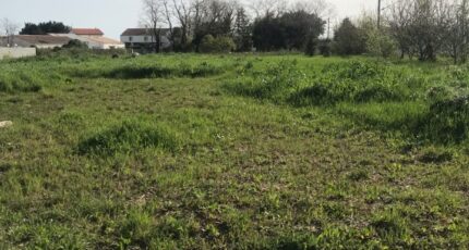 Chambon Maison neuve - 2124891-10442annonce120250404WLxCg.jpeg Maisons Acco