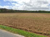 Maison à construire à Courçon (17170) 2066129-11002annonce220250128lAwK7.jpeg Maisons Acco