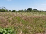Terrain à bâtir à Ardillières (17290) 2125895-11070annonce220250405w4zur.jpeg Maisons Acco