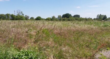 Ardillières Terrain à bâtir - 2125895-11070annonce220250405w4zur.jpeg Maisons Acco