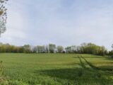 Terrain à bâtir à Surgères (17700) 2095012-10309annonce320250303v006A.jpeg Maisons Acco
