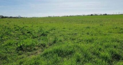 La Rochelle Terrain à bâtir - 2207522-10171annonce120250627Kmvhe.jpeg Maisons Acco