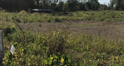 Bouhet Terrain à bâtir - 2360661-10442annonce320251208geyEz.jpeg Maisons Acco