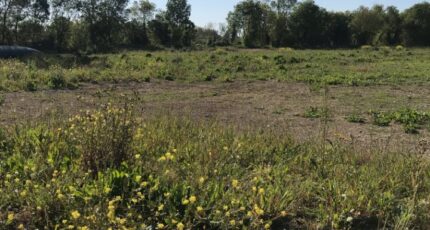 Bouhet Terrain à bâtir - 2360661-10442annonce420251208aVZcm.jpeg Maisons Acco