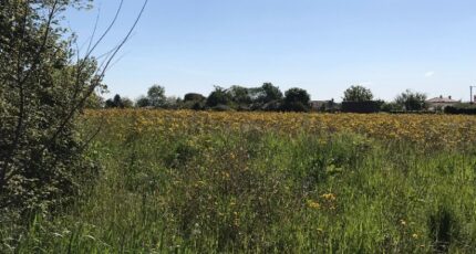 Aigrefeuille-d'Aunis Maison neuve - 2402750-10442annonce320260122vIqy0.jpeg Maisons Acco