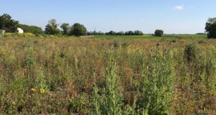 Breuil-Magné Terrain à bâtir - 2385128-10442annonce320260108iWfth.jpeg Maisons Acco