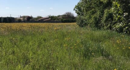 Breuil-Magné Terrain à bâtir - 2385128-10442annonce420260108nSSA2.jpeg Maisons Acco