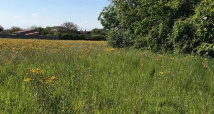 Breuil-Magné Terrain à bâtir - 2385128-10442annonce520260108RaRzN.jpeg Maisons Acco