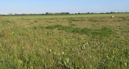 Aigrefeuille-d'Aunis Maison neuve - 2385303-10442annonce220260108ucFo0.jpeg Maisons Acco