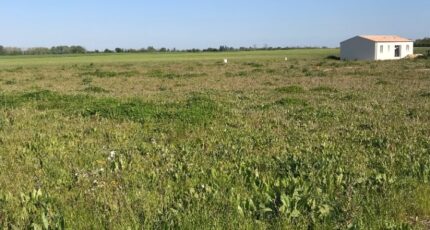 Aigrefeuille-d'Aunis Maison neuve - 2385303-10442annonce320260108eppDg.jpeg Maisons Acco