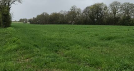 Surgères Maison neuve - 2387606-10442annonce320260109FKfcP.jpeg Maisons Acco